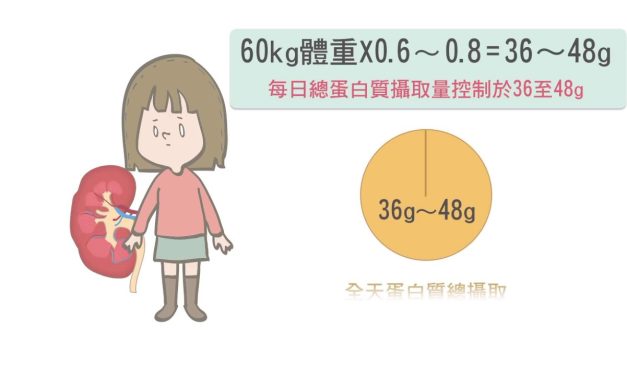 慢性腎病變，飲食要注意！（動畫）