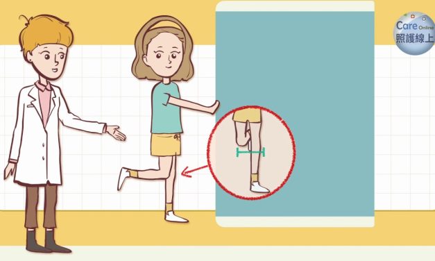 善用牆壁，隨時隨地做運動！（動畫）