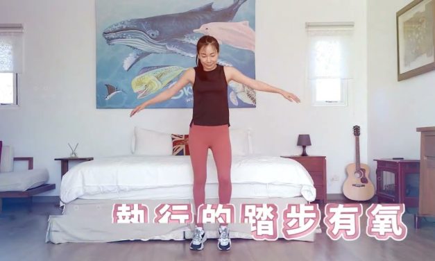 容易執行的踏步有氧