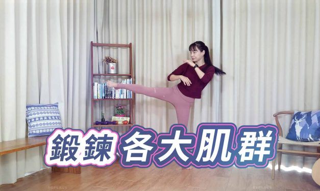 下半身深蹲、弓步蹲訓練，鍛鍊各大肌群