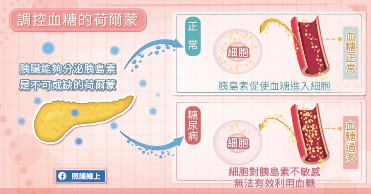 胰島素是身體本來就需要的荷爾蒙