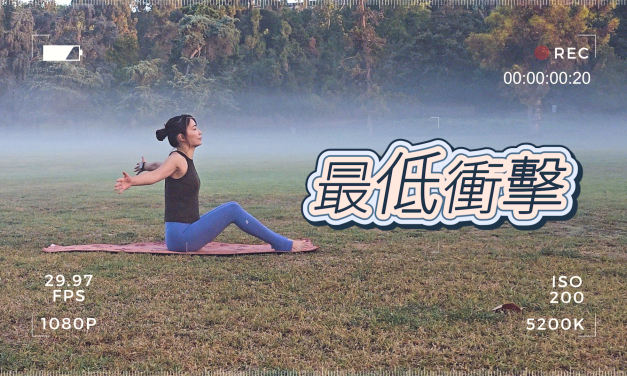 全身墊上肌力訓練，無深蹲，最低衝擊