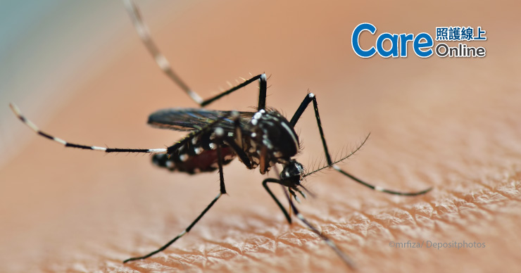 登革熱疫情爆發！阿根廷用「輻射」對抗　絕育蚊子避免病媒蚊傳染