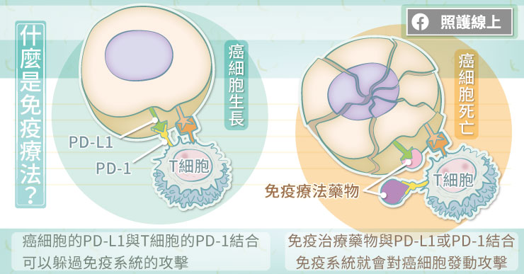 什麼是免疫療法