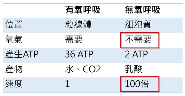 有氧呼吸、無氧呼吸有什麼差別？-照護線上