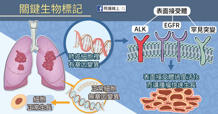 辨識出患者癌細胞中突變的生物標記是哪一個，就發展出相對應的藥物阻斷這類生物標記