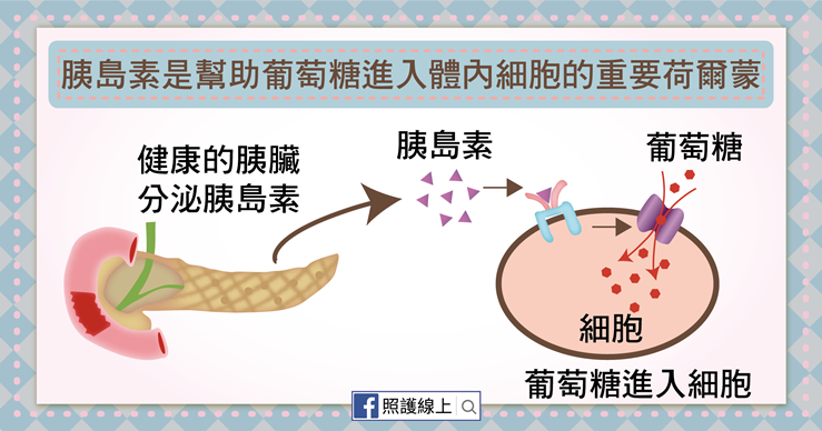 糖尿病能打胰島素嗎?(懶人包)-照護線上 胰島素是相當重要的荷爾蒙
