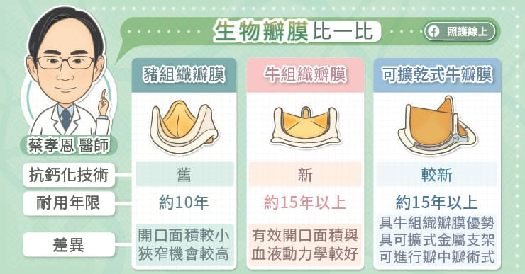 生物瓣膜比一比