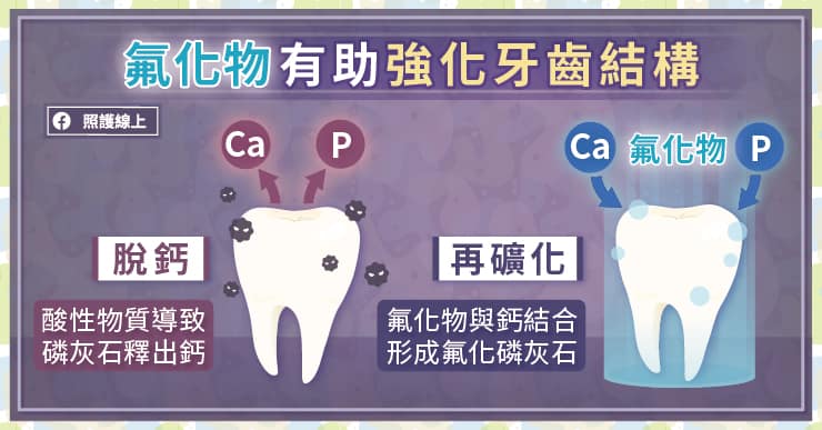 氟化物有助強化牙齒結構