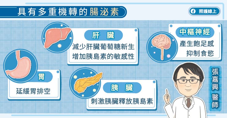 具有多重機轉的腸泌素