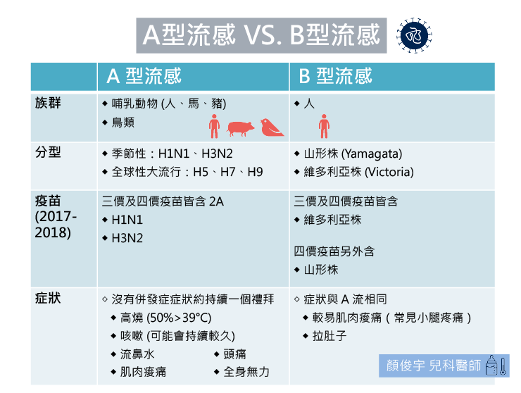 B型流感爆發，要不要補打四價疫苗？一定得快篩嗎？