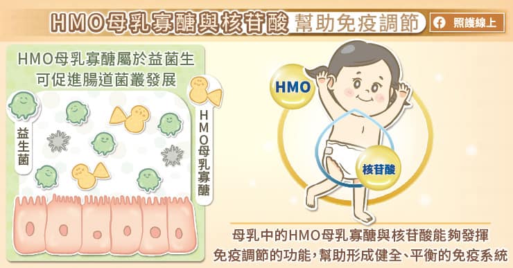 HMO母乳寡醣與核苷酸幫助免疫調節