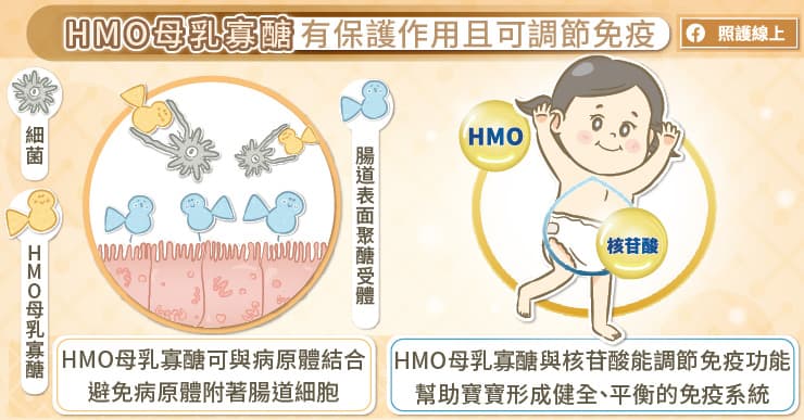 HMO母乳寡醣有保護作用且可調節免疫