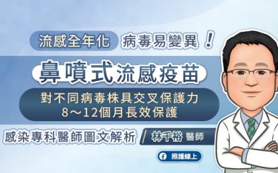 流感全年化 病毒易變異 鼻噴式流感疫苗 對不同病毒株具交叉保護力、8～12個月長效保護，感染專科醫師圖文解析