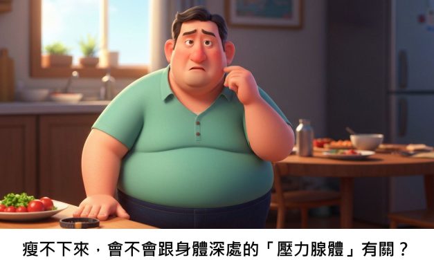瘦不下來，會不會跟身體深處的「壓力腺體」有關？