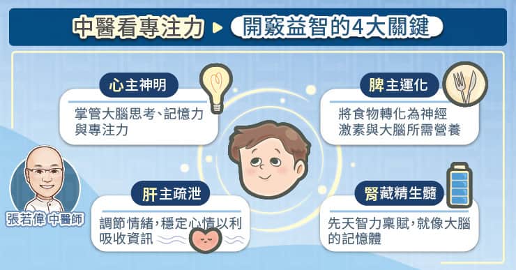 開竅益智的四大關鍵