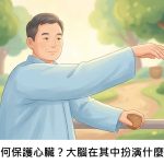 運動如何保護心臟？大腦在其中扮演什麼角色？