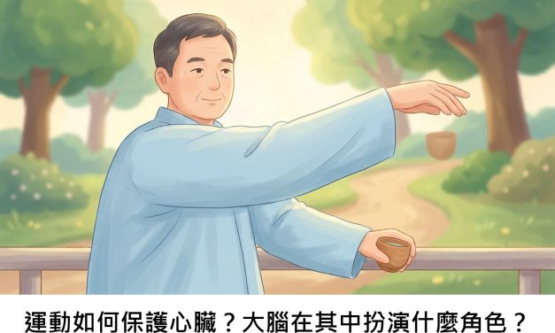 運動如何保護心臟？大腦在其中扮演什麼角色？