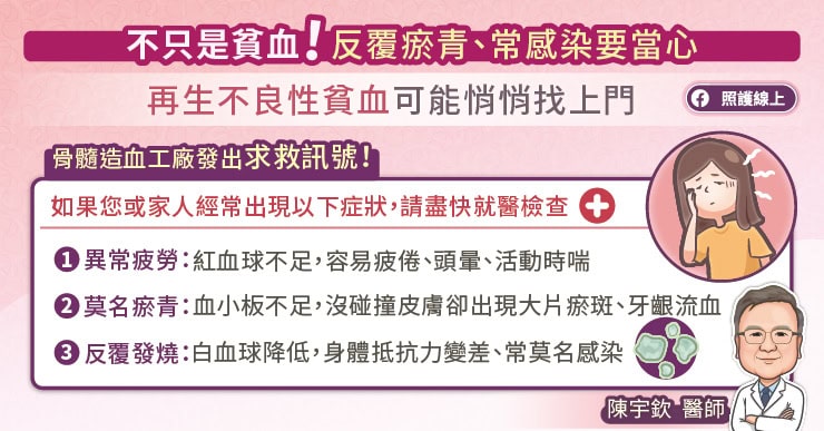 不只是貧血!反覆瘀青、常感染要當心再生不良性貧血