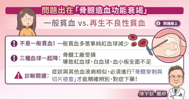 再生不良性貧血問題其實出在骨髓造血功能
